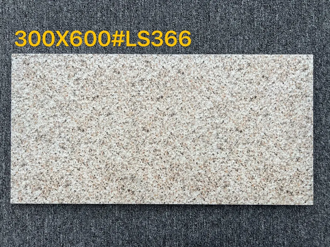 Artificial Granite Paving Stones Ceramic Tile Slabs Floor / Garden Courtyard Outdoor Block Paver Wall Floor Granite Tiles 300X600mm Ls366